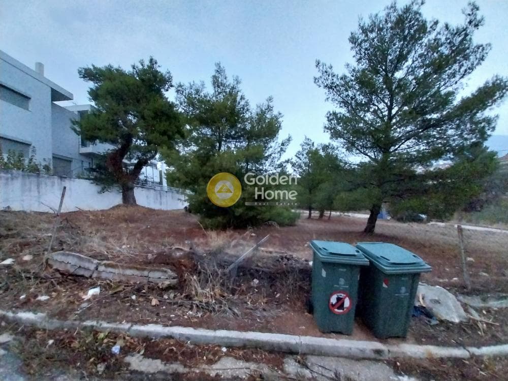 Οικόπεδο στην Ζηρίνειο, Κηφισιά — Φωτογραφία 11 από 14