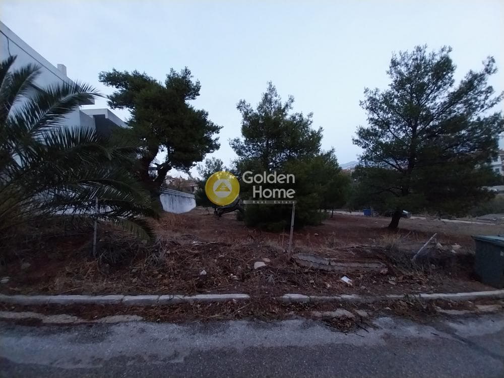 Οικόπεδο στην Ζηρίνειο, Κηφισιά — Φωτογραφία 12 από 14