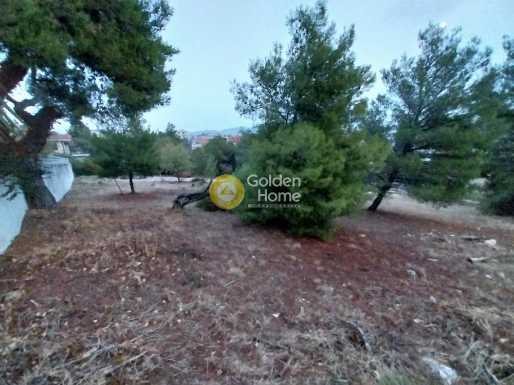 Οικόπεδο στην Ζηρίνειο, Κηφισιά — Φωτογραφία 3 από 14