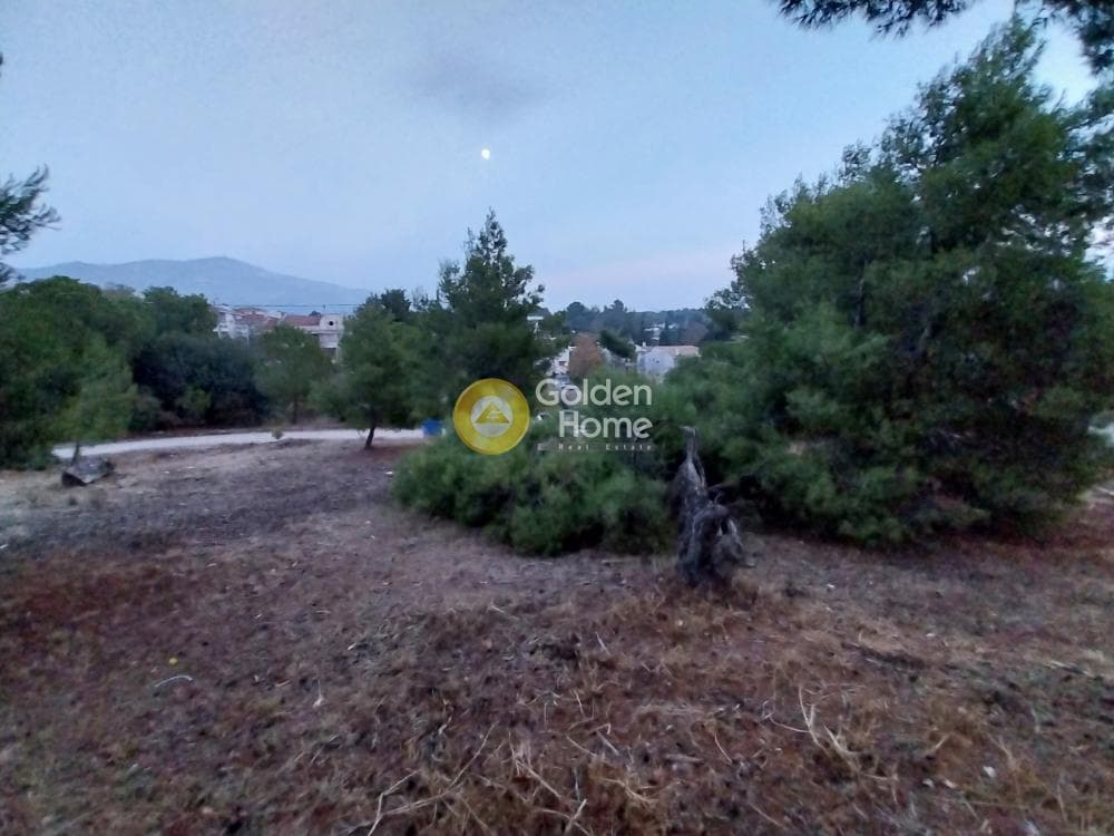 Οικόπεδο στην Ζηρίνειο, Κηφισιά — Φωτογραφία 5 από 14