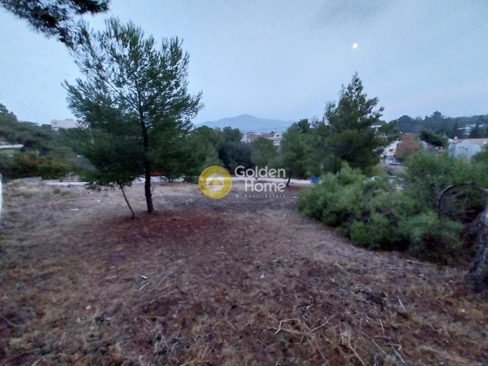 Οικόπεδο στην Ζηρίνειο, Κηφισιά — Φωτογραφία 13 από 14