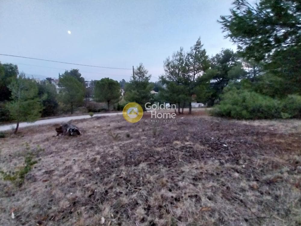 Οικόπεδο στην Ζηρίνειο, Κηφισιά — Φωτογραφία 4 από 14