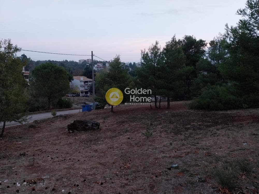 Οικόπεδο στην Ζηρίνειο, Κηφισιά — Φωτογραφία 14 από 14