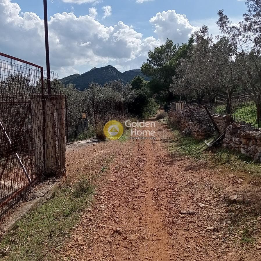 Parcel in Poria, Vravrona — Photo 2 of 9