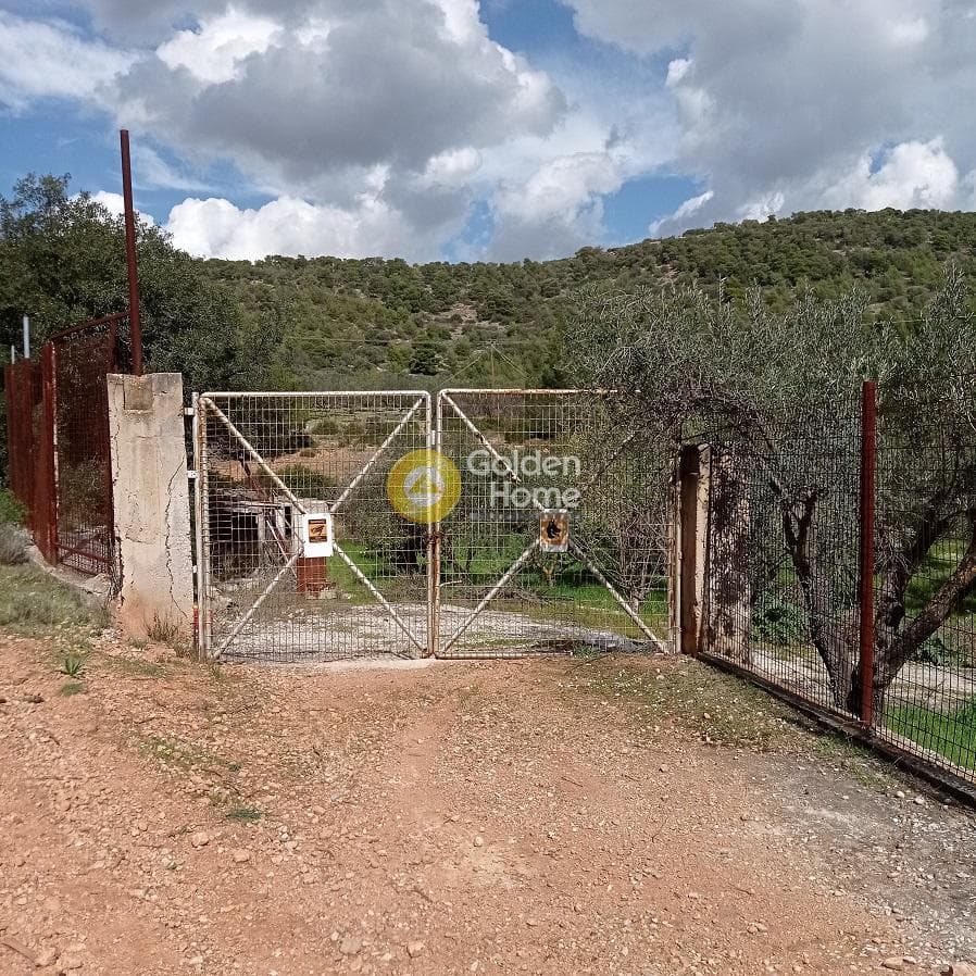 Parcel in Poria, Vravrona — Photo 1 of 9