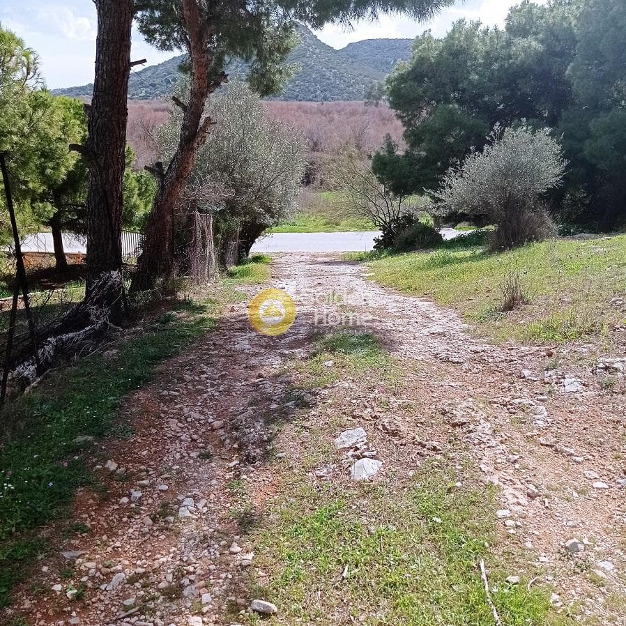 Parcel in Poria, Vravrona — Photo 7 of 9