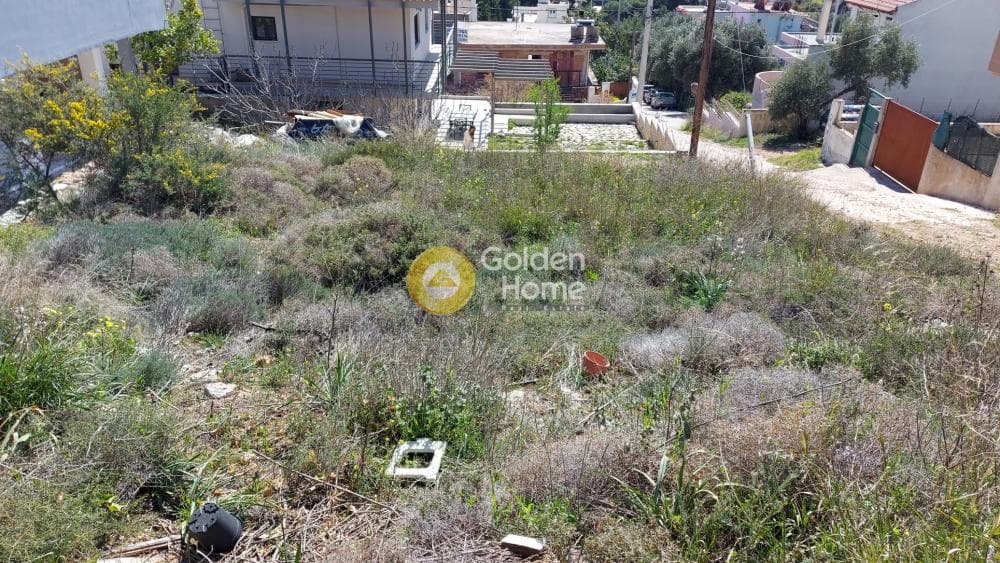 Οικόπεδο στην Βορινέζα, Αρτέμιδα (Λούτσα) — Φωτογραφία 4 από 6