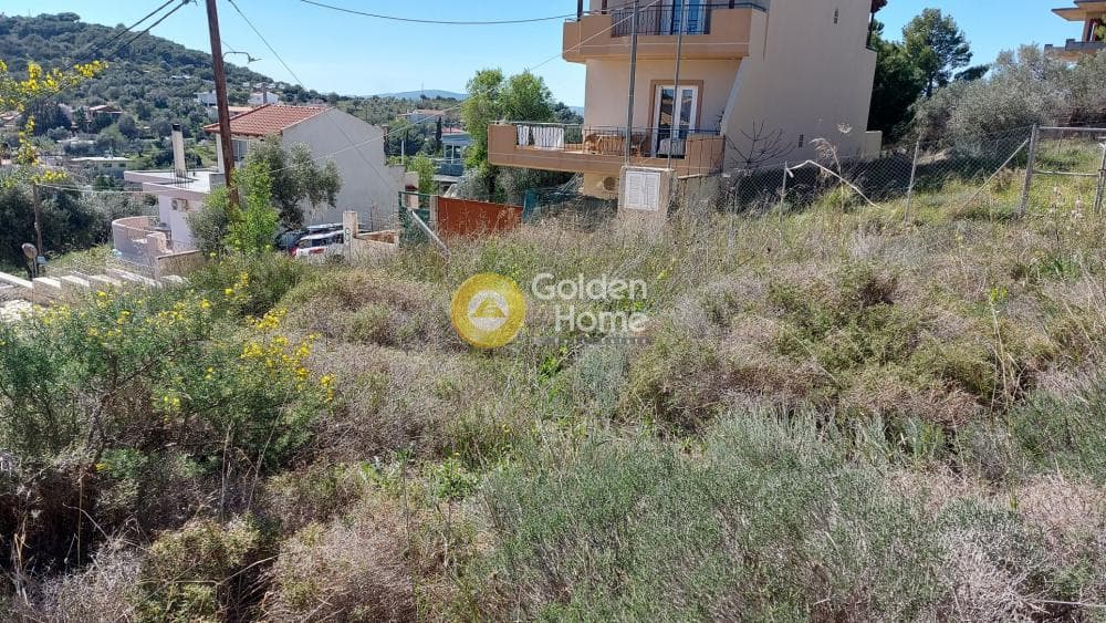 Οικόπεδο στην Βορινέζα, Αρτέμιδα (Λούτσα) — Φωτογραφία 5 από 6