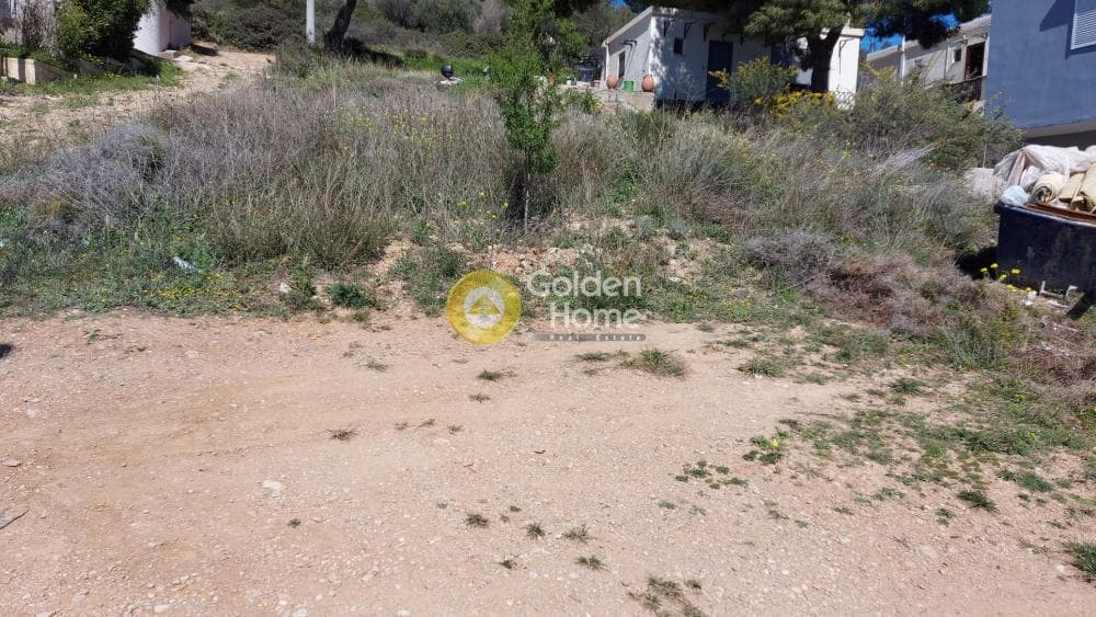Οικόπεδο στην Βορινέζα, Αρτέμιδα (Λούτσα) — Φωτογραφία 6 από 6