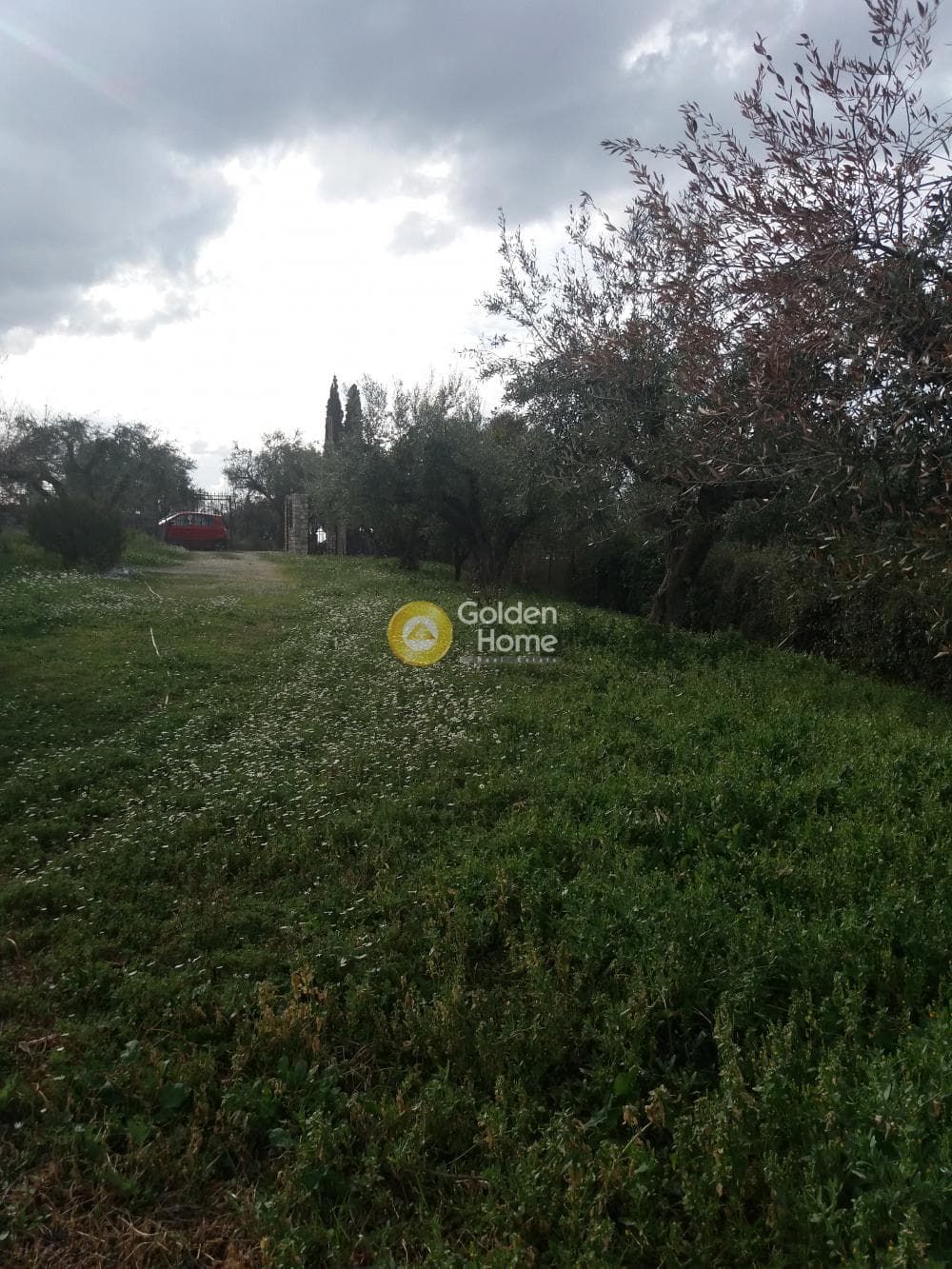 Μονοκατοικία στην Κρήνη, Μεσσατίδα — Φωτογραφία 2 από 42