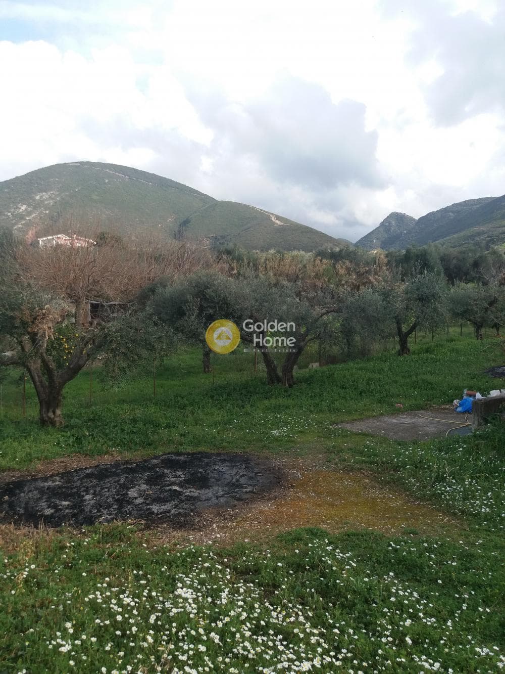 Μονοκατοικία στην Κρήνη, Μεσσατίδα — Φωτογραφία 1 από 42