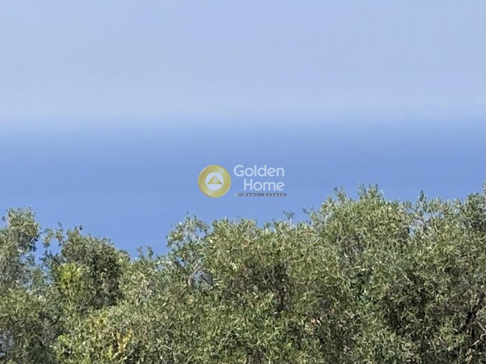 Parcel in Achilleio, Corfu — Photo 2 of 12
