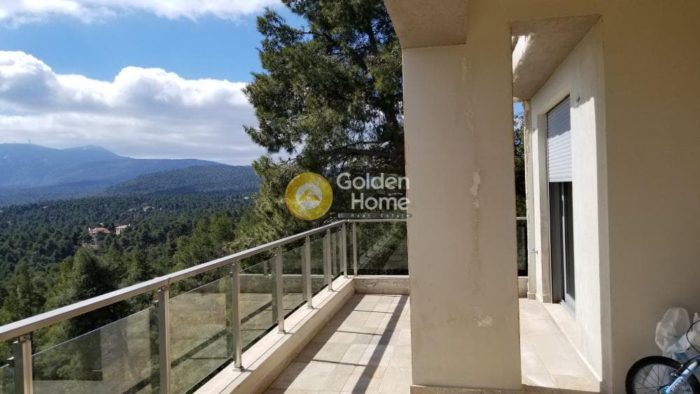 Μονοκατοικία στην Αγία Τριάδα, Αφίδνες — Φωτογραφία 38 από 39
