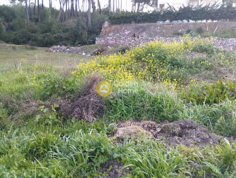 Αγροτεμάχιο στην Καπιτένια, Άγιος Στέφανος — Φωτογραφία 1 από 4
