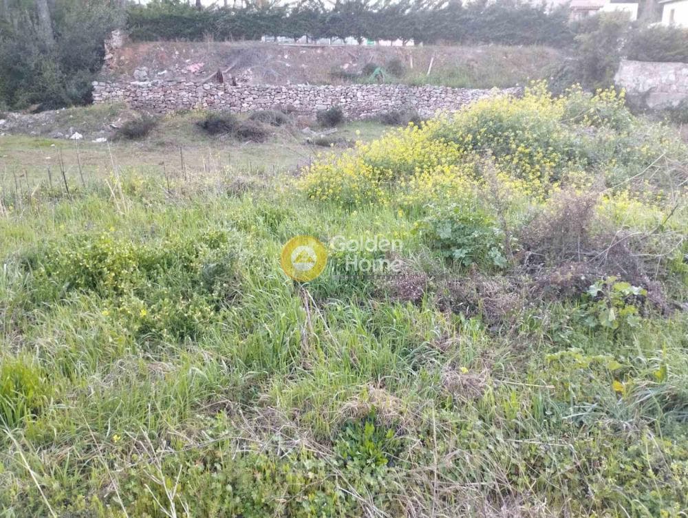 Αγροτεμάχιο στην Καπιτένια, Άγιος Στέφανος — Φωτογραφία 2 από 4