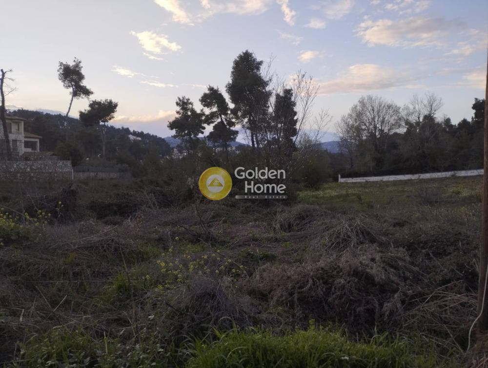 Αγροτεμάχιο στην Καπιτένια, Άγιος Στέφανος — Φωτογραφία 3 από 4