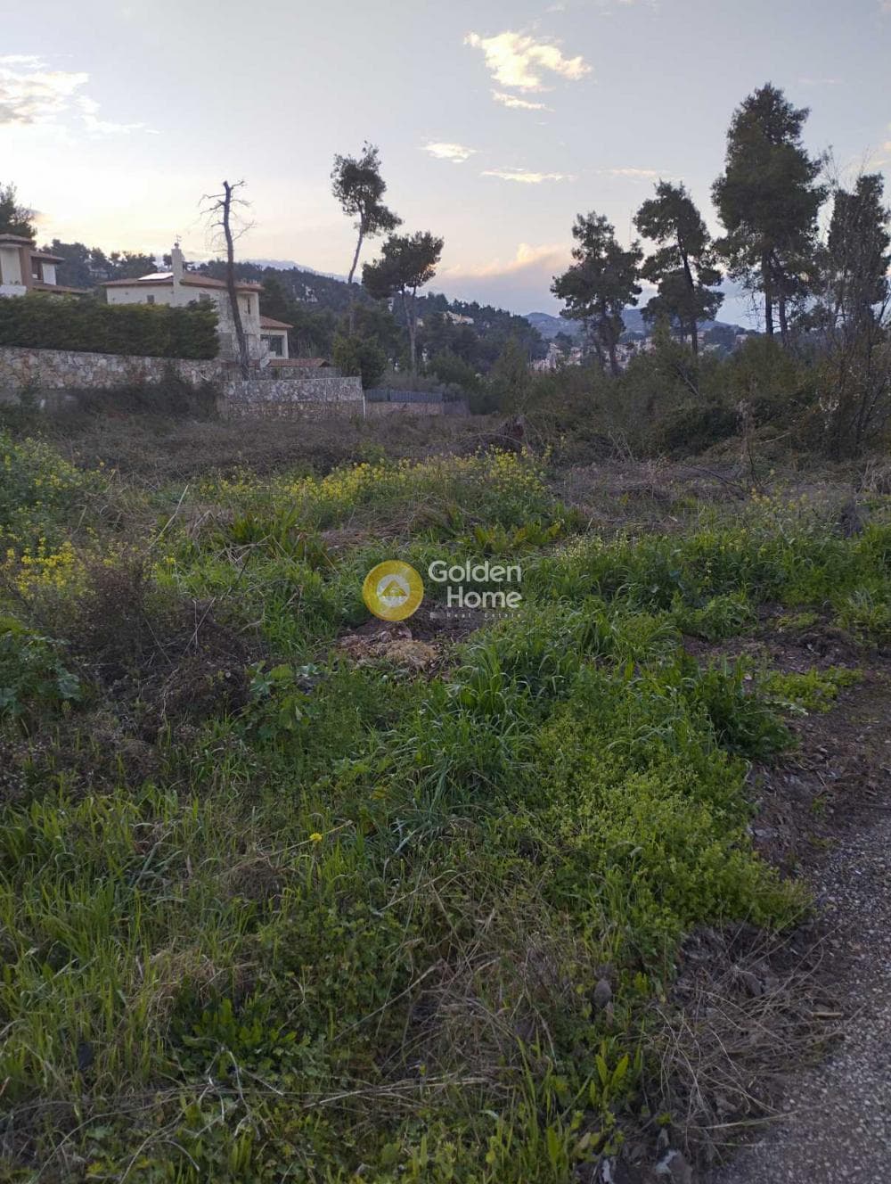 Αγροτεμάχιο στην Καπιτένια, Άγιος Στέφανος — Φωτογραφία 4 από 4