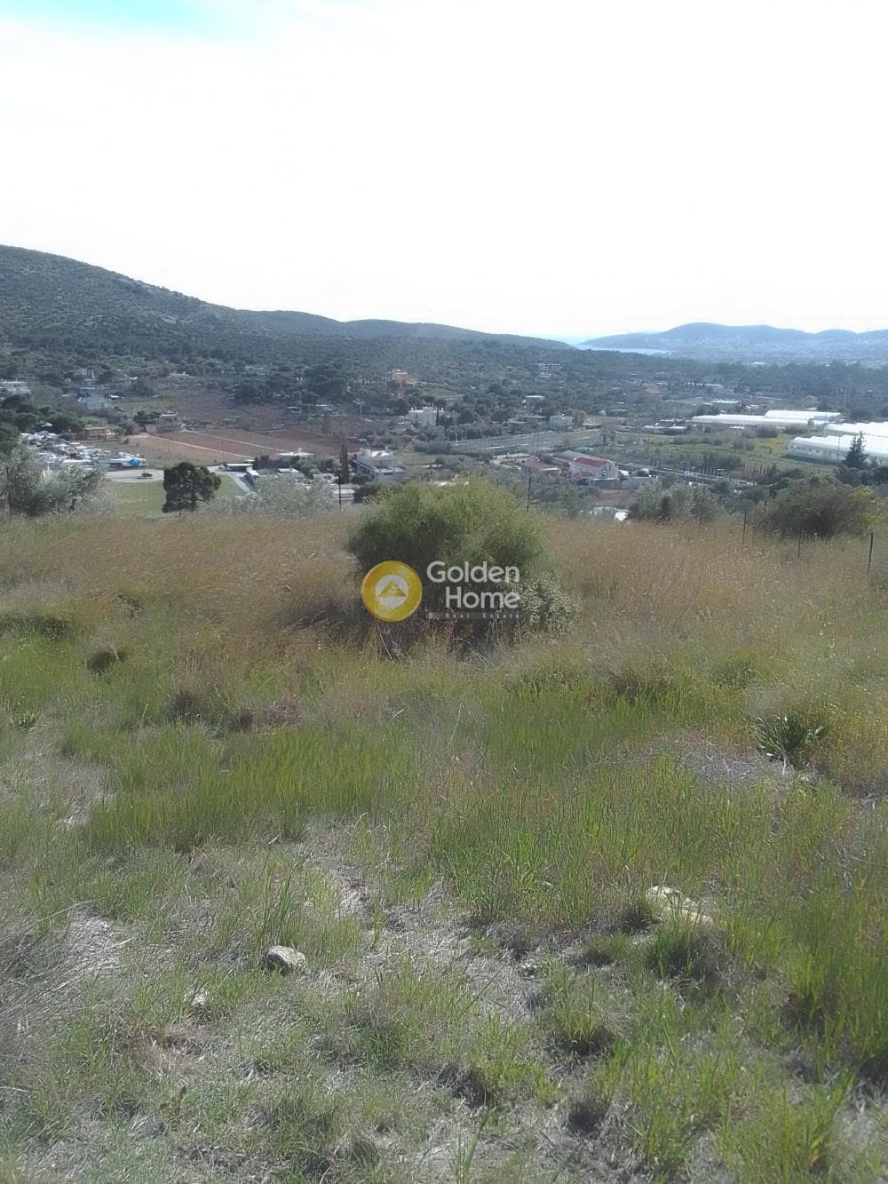 Parcel in Lamprika, Koropi — Photo 2 of 5
