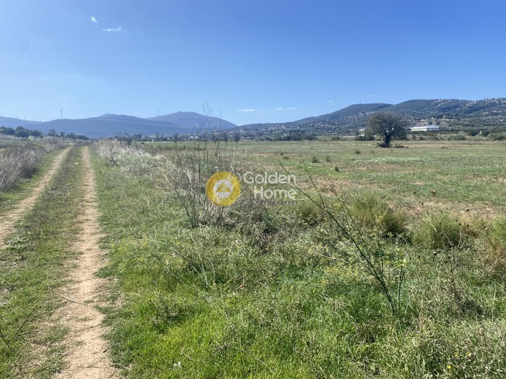 Parcel in Drosia, Distos — Photo 11 of 17