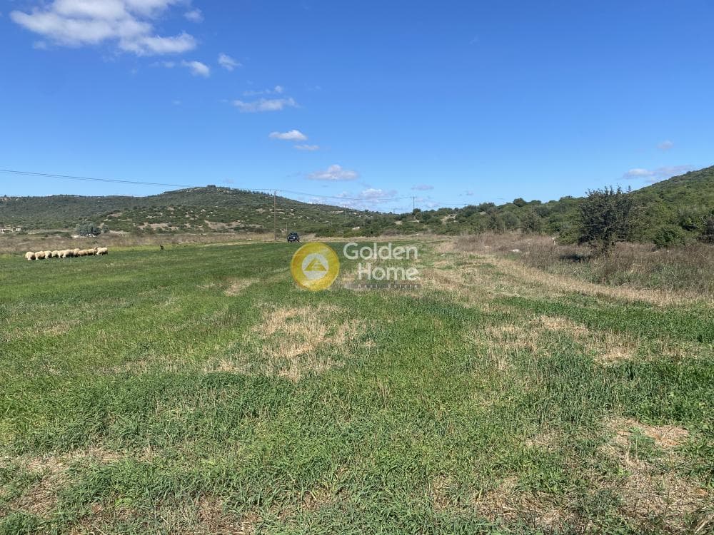 Parcel in Lepoira, Distos — Photo 1 of 10