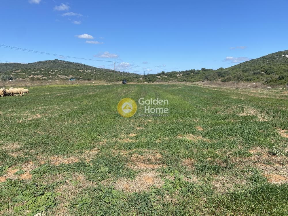 Parcel in Lepoira, Distos — Photo 3 of 10