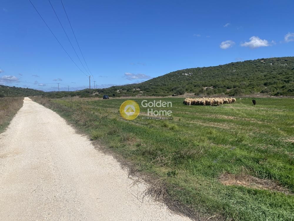 Parcel in Lepoira, Distos — Photo 7 of 10