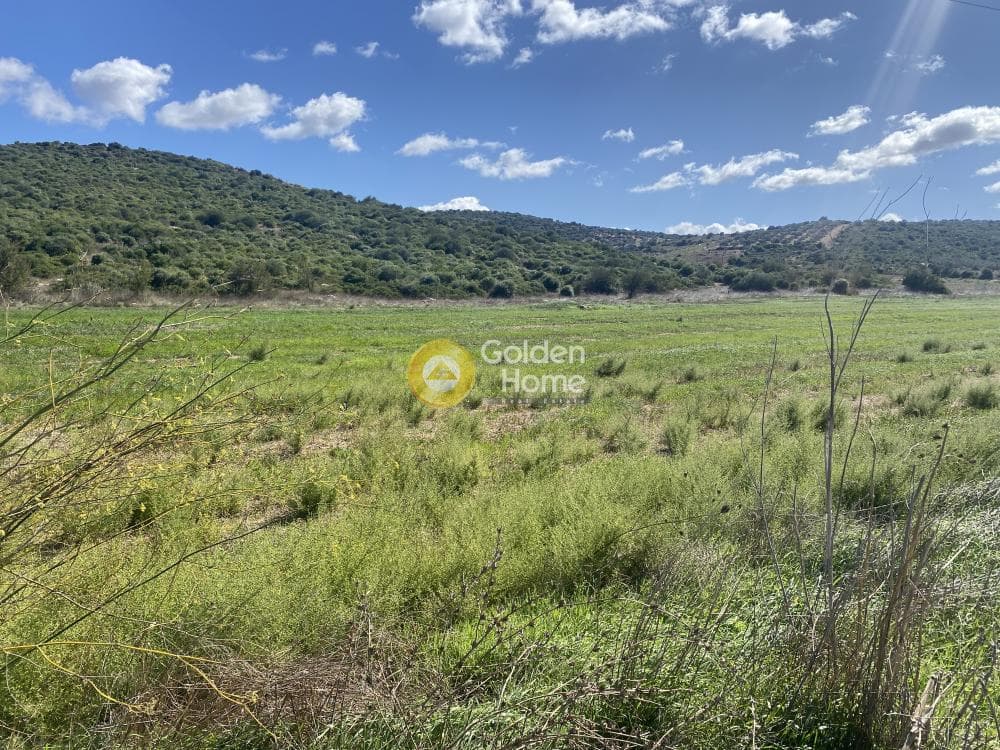 Parcel in Lepoira, Distos — Photo 10 of 10