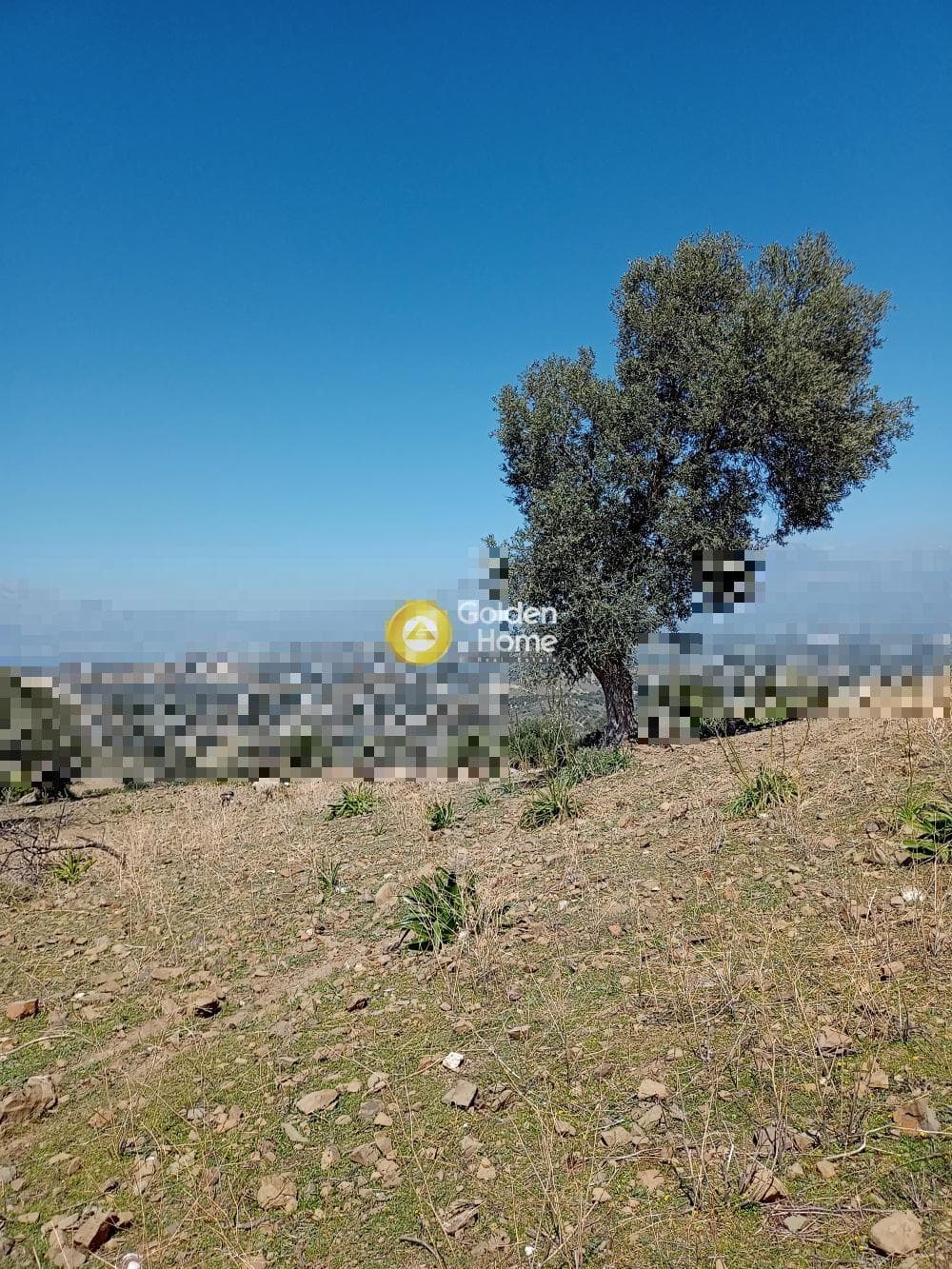 Building Plot in Listaros, Moires