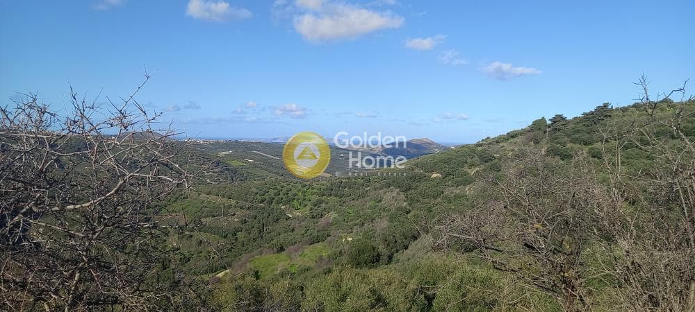 Οικόπεδο στην Κουνάβοι, Αρχάνες — Φωτογραφία 2 από 5