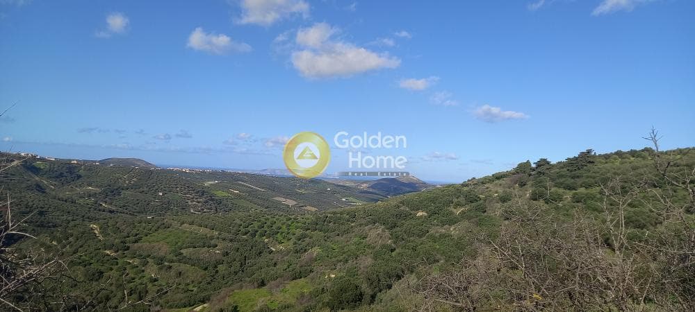 Οικόπεδο στην Κουνάβοι, Αρχάνες — Φωτογραφία 5 από 5
