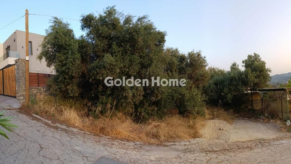 Αγροτεμάχιο στην Λοφούπολη, Τέμενος — Φωτογραφία 1 από 6