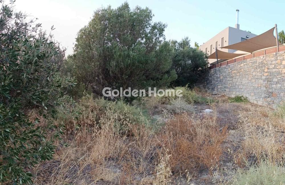 Αγροτεμάχιο στην Λοφούπολη, Τέμενος — Φωτογραφία 2 από 6