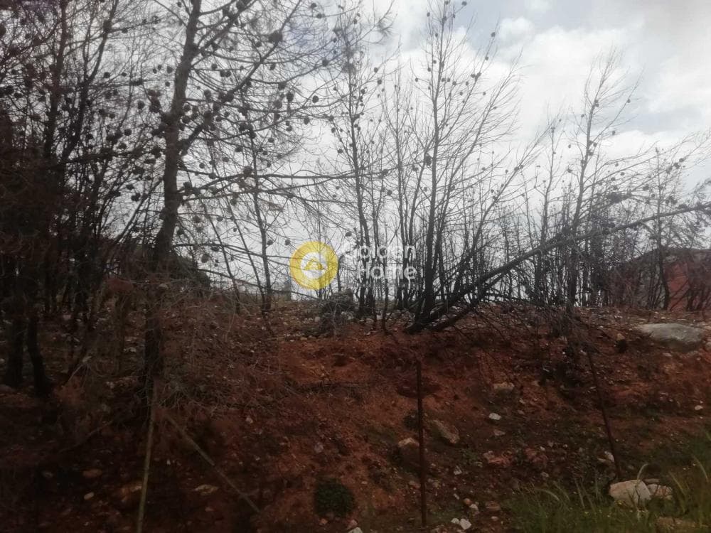 Οικόπεδο στην Δασαμάρι, Πικέρμι — Φωτογραφία 6 από 7
