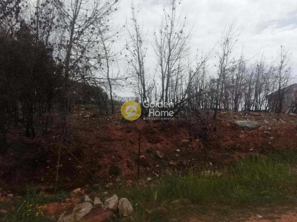 Οικόπεδο στην Δασαμάρι, Πικέρμι — Φωτογραφία 3 από 7