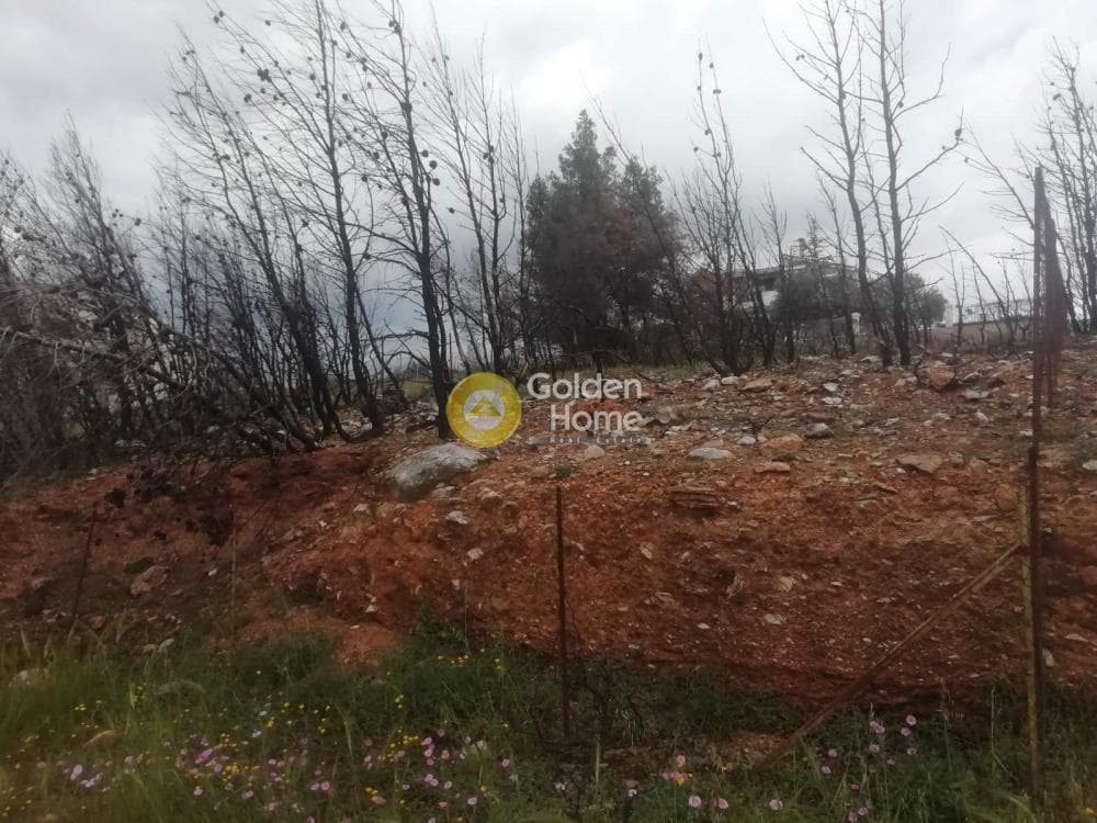 Οικόπεδο στην Δασαμάρι, Πικέρμι — Φωτογραφία 2 από 7