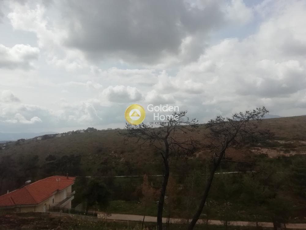 Οικόπεδο στην Δασαμάρι, Πικέρμι — Φωτογραφία 1 από 7