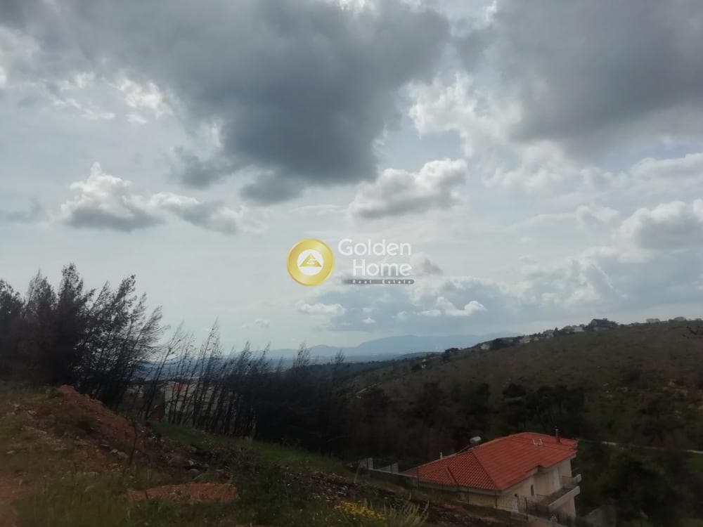 Οικόπεδο στην Δασαμάρι, Πικέρμι — Φωτογραφία 7 από 7