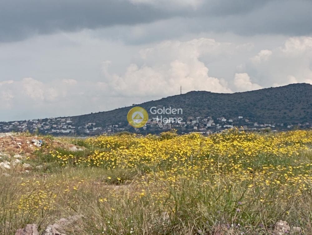 Οικόπεδο στην Πέρδικα, Αίγινα — Φωτογραφία 6 από 6
