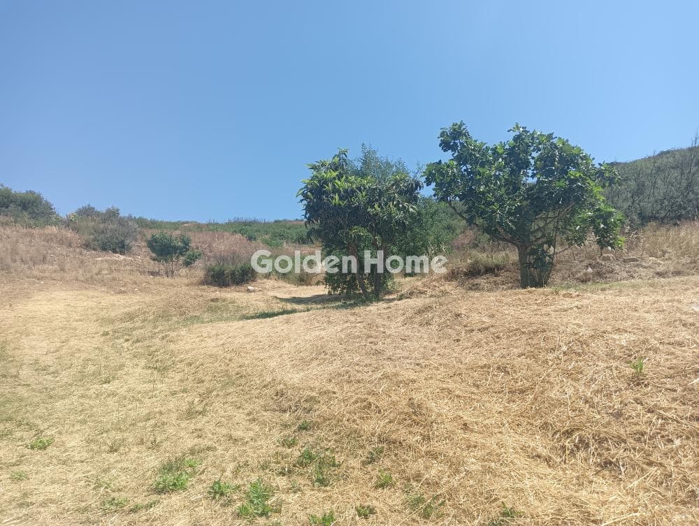 Building Plot in Agios Athanasios, Pallini — Photo 7 of 7