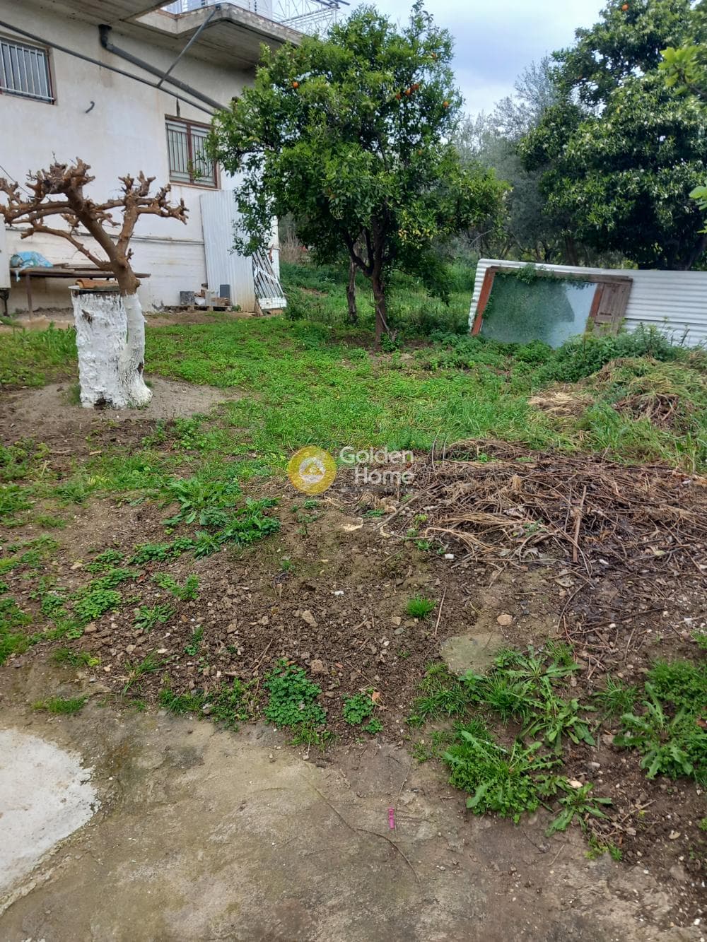 Μονοκατοικία στην Ροδοδάφνη, Αίγιο — Φωτογραφία 3 από 6