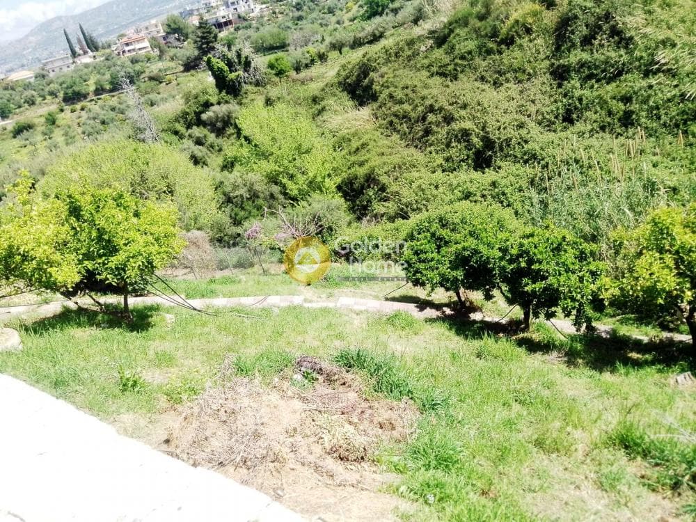 Μονοκατοικία στην Κεφαλόβρυσο, Μεσσατίδα — Φωτογραφία 19 από 20