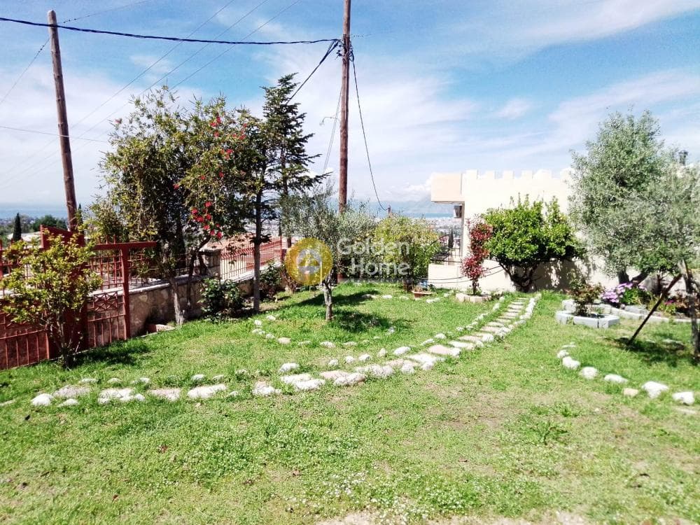 Μονοκατοικία στην Κεφαλόβρυσο, Μεσσατίδα — Φωτογραφία 4 από 20