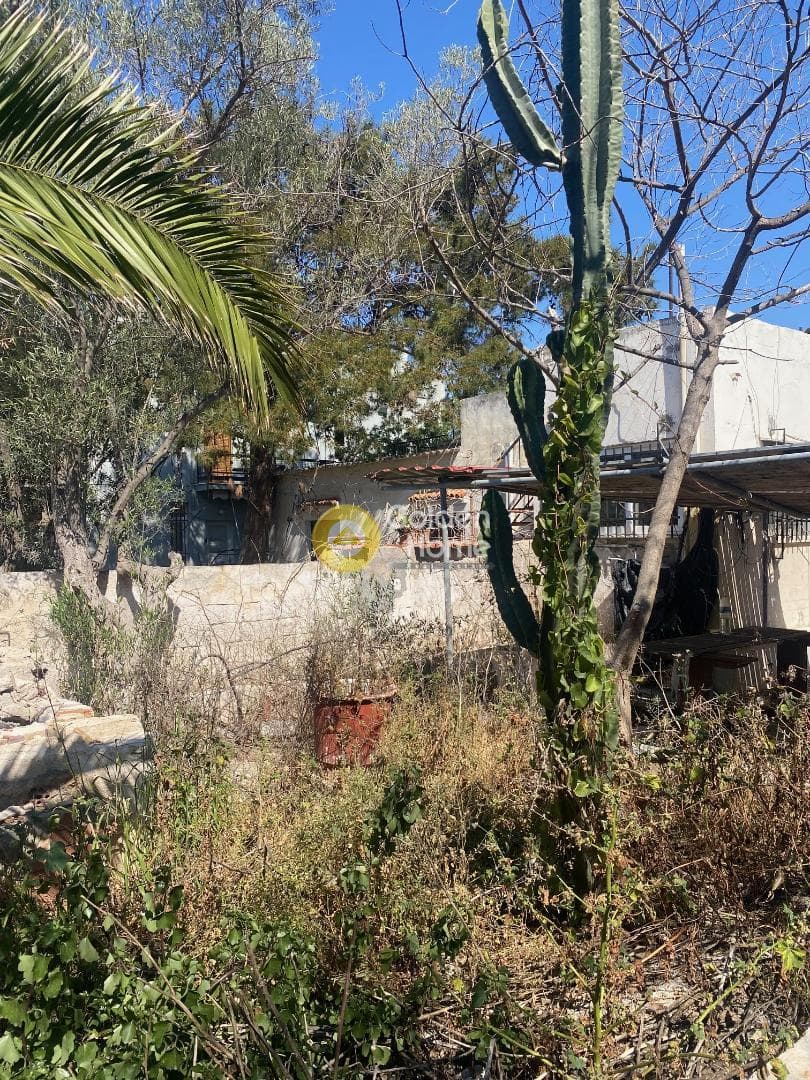 Μονοκατοικία στην Πηγαδάκια, Βουλιαγμένη — Φωτογραφία 3 από 11