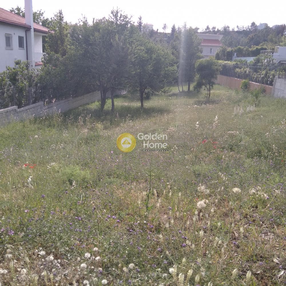 Οικόπεδο στην Διώνη, Πικέρμι — Φωτογραφία 1 από 5