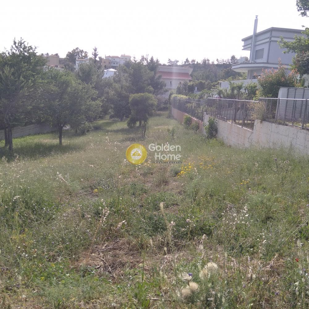 Οικόπεδο στην Διώνη, Πικέρμι — Φωτογραφία 3 από 5