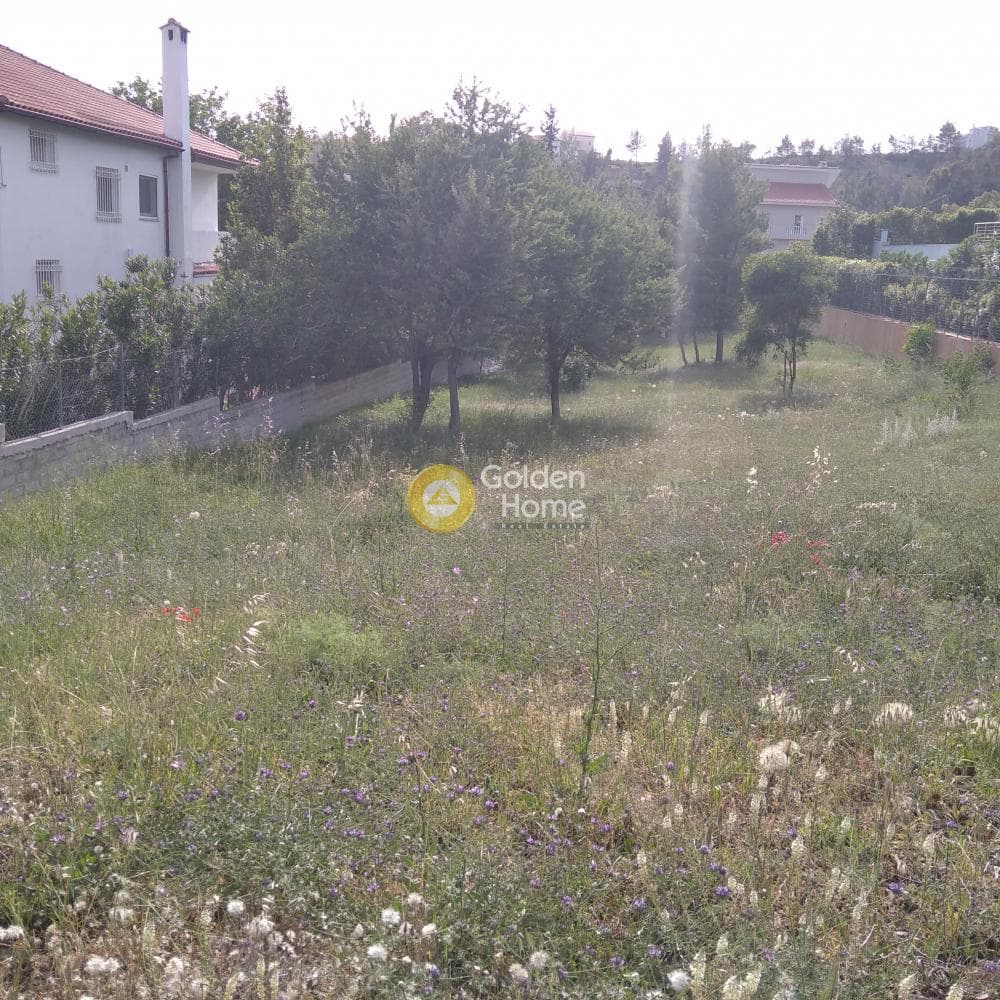 Οικόπεδο στην Διώνη, Πικέρμι — Φωτογραφία 2 από 5