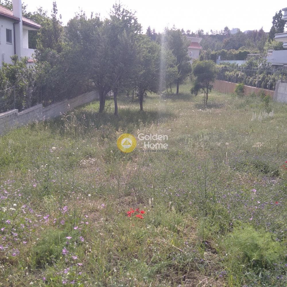 Οικόπεδο στην Διώνη, Πικέρμι — Φωτογραφία 4 από 5