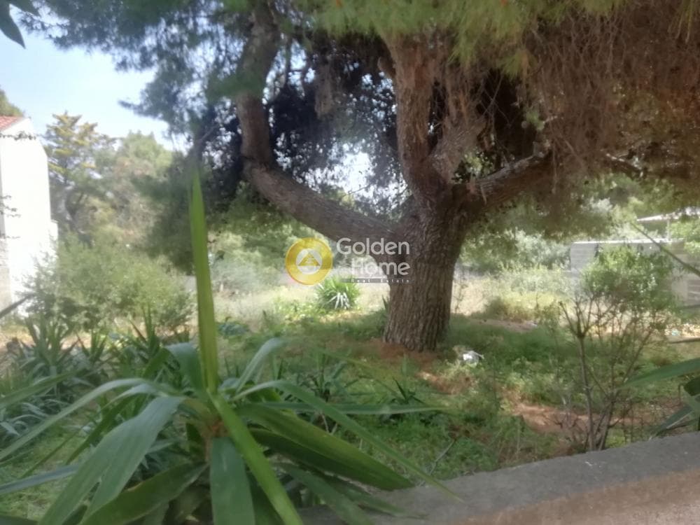 Οικόπεδο στην Κέντρο, Αρτέμιδα (Λούτσα) — Φωτογραφία 7 από 9
