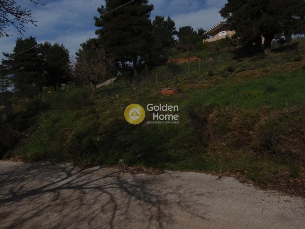 Parcel in Solinari, Trizina — Photo 4 of 6