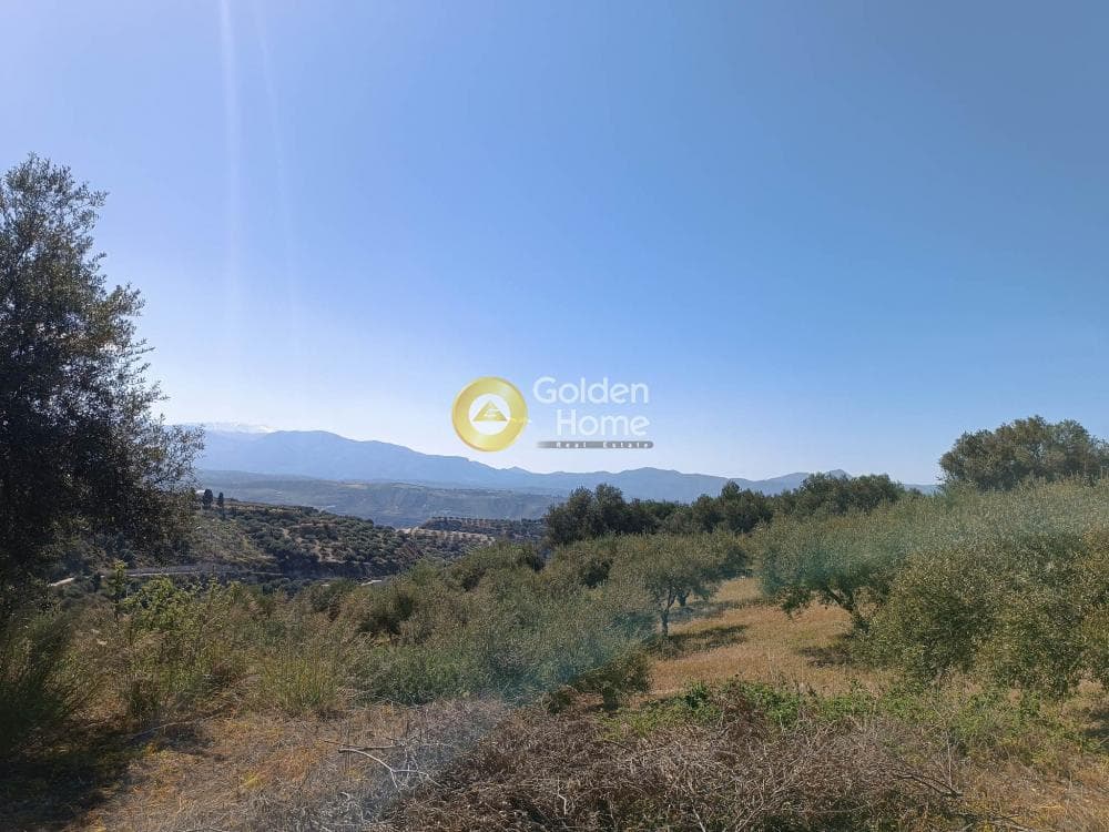 Οικόπεδο στην Βασιλείες, Αρχάνες — Φωτογραφία 4 από 8